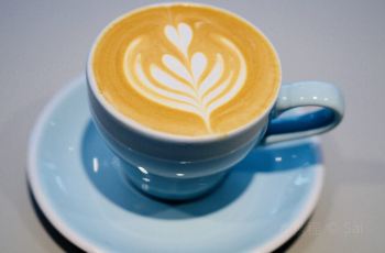 各层面都优异的seesaw咖啡如何?加盟seesaw咖啡可靠吗?