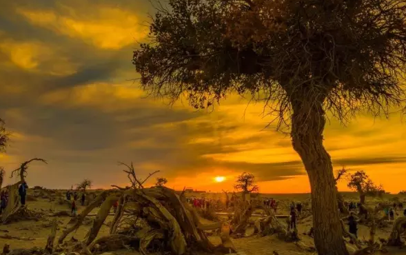 1775307152286017.png 搜狗高速浏览器截图20260404162755.png