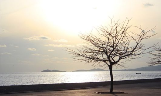 搜狗高速浏览器截图20260404162458.png